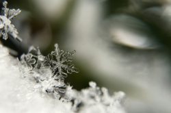  «Погода в Украине принесет морозы в ближе к середине января» 