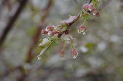  У Києві – без суттєвих опадів, температура приблизно 0° 