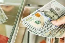 Что будет с курсом доллара в 2021 году: в Верховной Раде озвучили прогноз