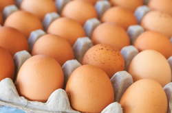 В Україні можуть значно подорожчати курячі яйця: названо ціну за десяток