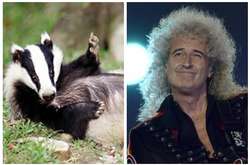 Гитарист Queen выпустил духи с запахом барсука