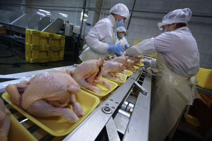 Экспорт украинской курятины. Гостаможслужба назвала объемы и главных покупателей