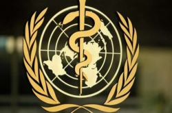 Лаборатория ВОЗ подтвердила: в Украине циркулирует несколько штаммов коронавируса