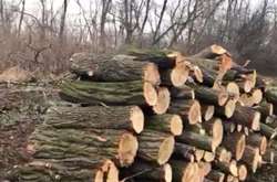  На даний момент у ссправі призначено низку експертиз 