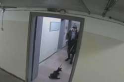 Чоловік побив собаку в під’їзді будинку