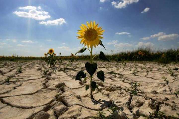 Другий рік посуха? Вчені дали тривожний прогноз для українських аграріїв 