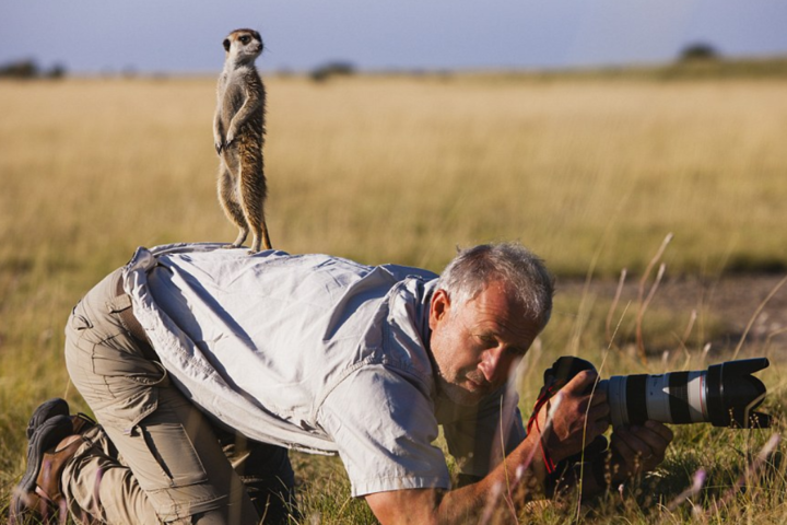 Как дикие животные беспардонно мешают работать фотографам