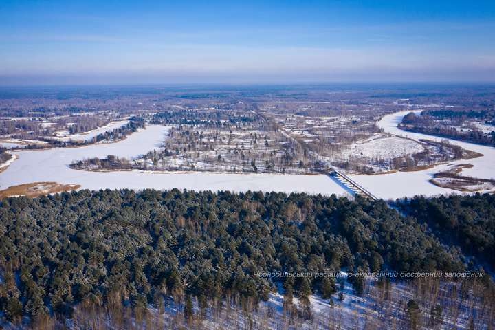 Сніг, крига та тиша: неймовірні фото зими в Чорнобильському заповіднику