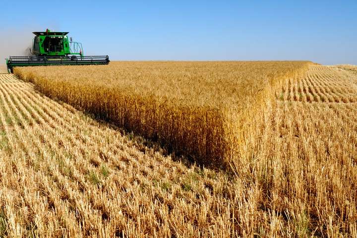 Світова торгівля зерном. Україна вирвалась у лідери за підсумками минулого сезону
