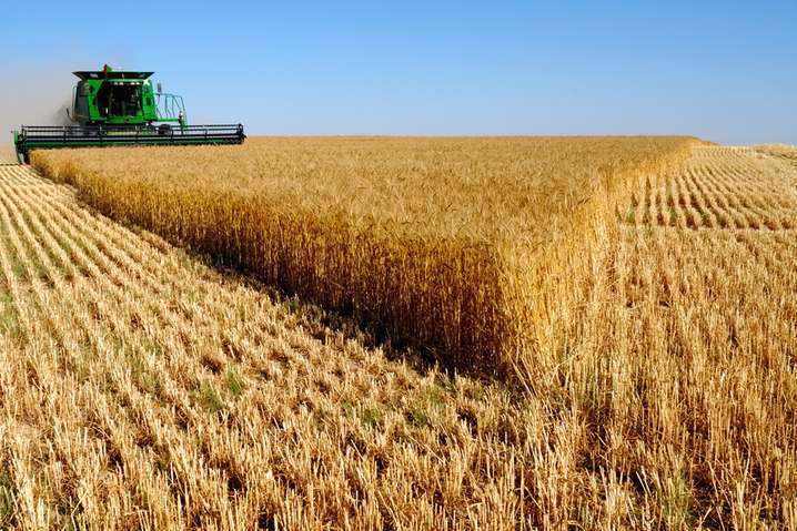 Мировая торговля зерном. Украина вырвалась в лидеры по итогам прошлого сезона