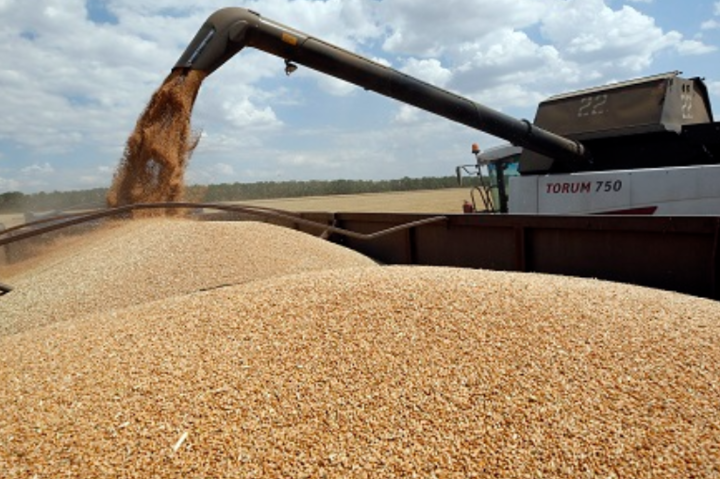 Україна посіла друге місце у рейтингу світових експортерів зерна