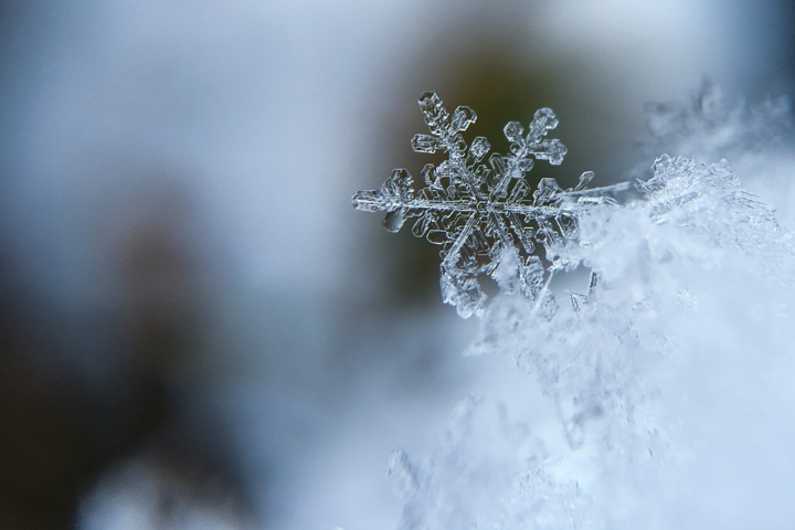 На Одесу насувається сніговий циклон: мерія просить сидіти вдома