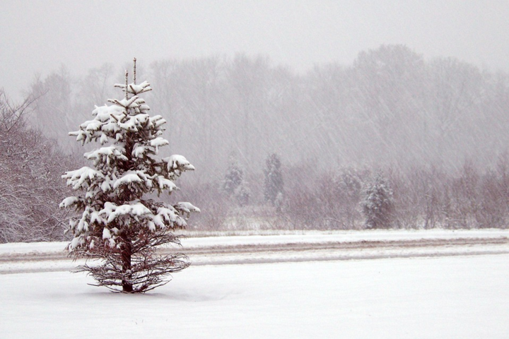 В Одесі прогнозують снігопад та шторм на 27 січня 