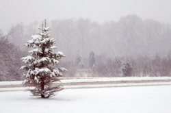 В Одесі прогнозують снігопад та шторм на 27 січня 