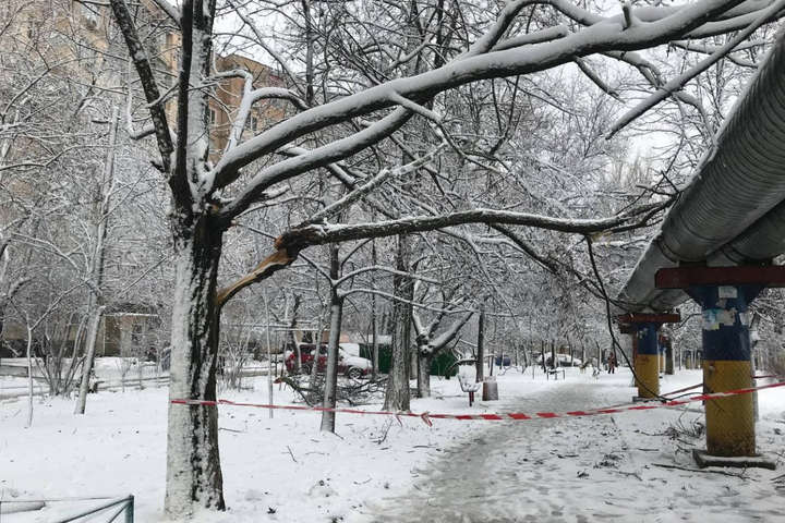 Через снігопад на Одещині повалено пів сотні дерев