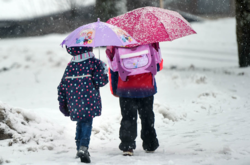 Непогода в Одесі: у мерії розповіли, як завтра будуть працювати школи та підприємства 