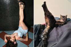 Эти коты позируют не хуже, чем профессиональные модели: курьезные фото