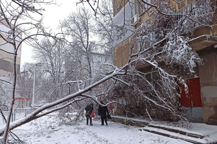 Снігопад в Одесі: дерева руйнують будинки та теплотраси (фото)