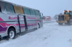 Непогода в Україні: на трасі Київ – Одеса у сніговому заметі застряг автобус (відео)