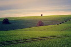 Землі повернуто у власність місцевих громад