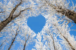  20 лютого – Всесвітній день соціальної справедливості 