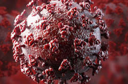 Появу «британського вірусу» зафіксовано в Узбекистані