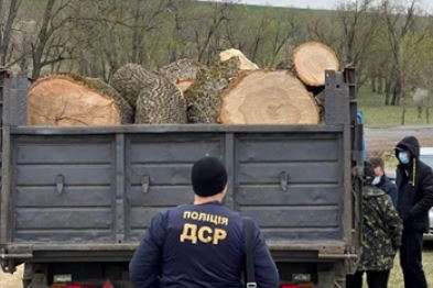 5 службовців Одеської залізниці судитимуть за незаконну порубку лісу