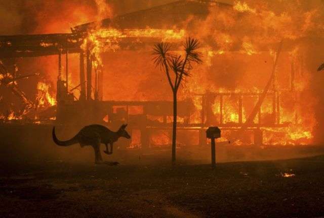 Австралія знову у вогні: на заході горять ліси