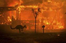 Австралія знову у вогні: на заході горять ліси