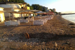 Москва признала: с оккупированным Крымом не хотят работать даже российские компании