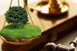 Земельні торги в Києві: три ділянки пішли з молотка за 28 млн грн