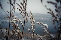 Із 5-го лютого в Україні розпочнеться поступове зниження температури