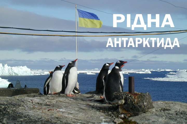 Україна – батьківщина пінгвінів. Антарктичній станції «Академік Вернадський» – 25!