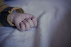 У Дніпрі поліцейський пес знайшов тіло немовляти у вигрібній ямі