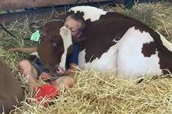 Когда люди засыпали в самых неудобных позах и необычных местах: курьезные фото