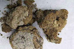 В Китае нашли крем для лица из «лунного молока», которому 2700 лет