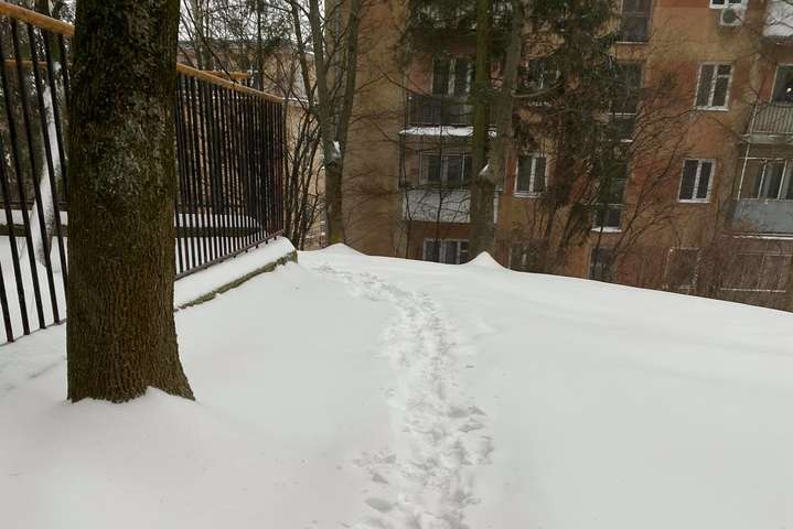 Во Львове из-за завалов снега люди не могли выйти из подъездов (фото)