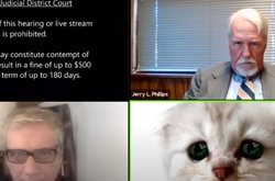 Білий та пухнастий. У США прокурор з'явився на онлайн-засіданні суду в образі кота