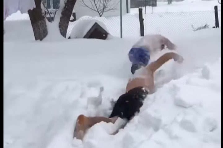 Як на Рівненщині розважаються в негоду: чоловіки «плавали» в снігу (відео)