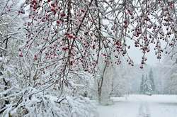 Штормовий вітер та мороз до -13: прогноз погоди в Україні на 13 лютого