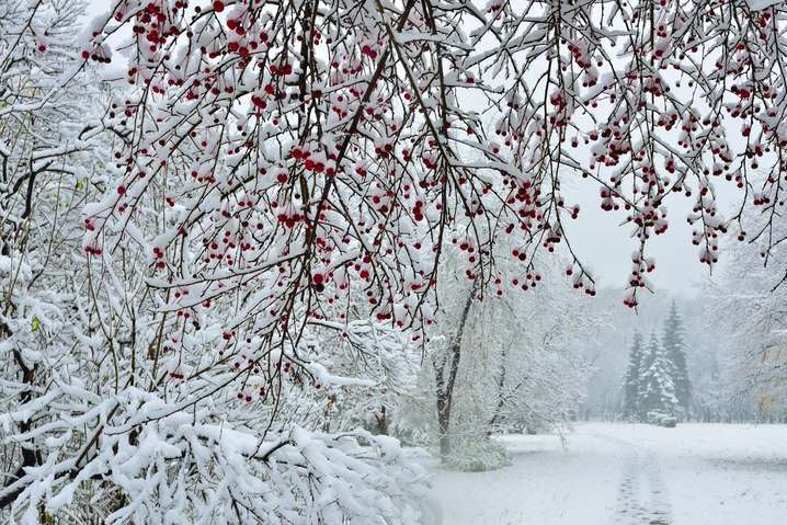 Штормовой ветер и мороз до -13 прогноз погоды в Украине на 13 февраля