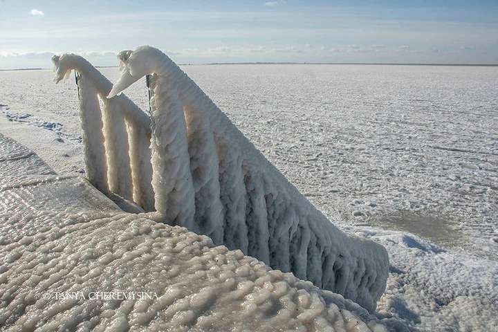 Зимова казка. У Бердянську набережна повністю покрилася льодом (фото)