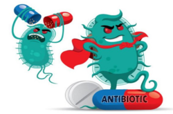 Стійкість до антибіотиків – проблема, яку вже має людство
