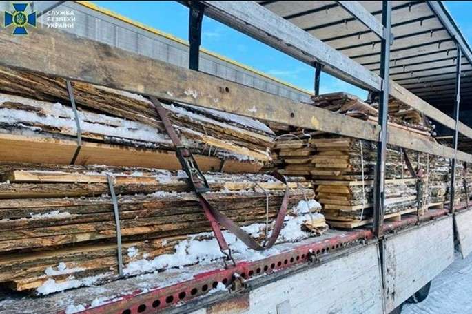 СБУ запобігла незаконному експорту червоного дерева в Євросоюз