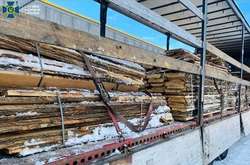 СБУ запобігла незаконному експорту червоного дерева в Євросоюз