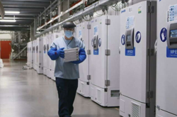  Pfizer уже подала документы на регистрацию вакцины в Украине 