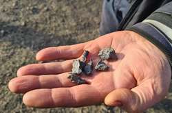  Цивільне населення від обстрілу не постраждало 