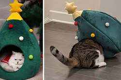 Эти бедолаги горько пожалели о решении сделать заказ в интернете. Курьезные фото