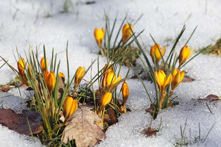 Сонячно, але морозно: прогноз погоди на 23 лютого