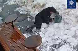 З’явилося відео, як у центрі Києва на жінку рухнула крижана глиба
